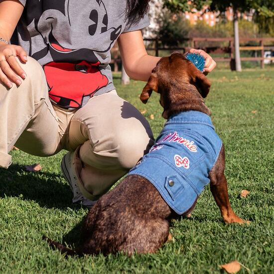 CHAQUETA VAQUERA PARA PERROS S MINNIE BLUE image 5