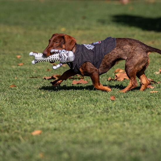 CHAQUETA VAQUERA PARA PERROS S STAR WARS GRAY image 5