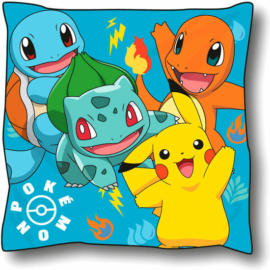 COJIN POKEMON image 0