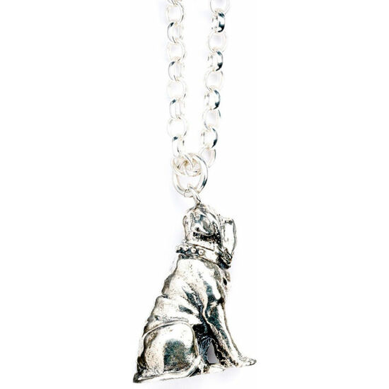 COLGANTE FANG THE DOG HARRY POTTER PLATA image 1