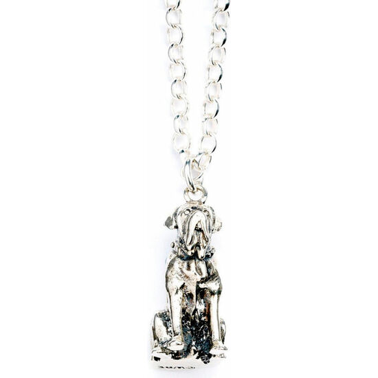 COLGANTE FANG THE DOG HARRY POTTER PLATA image 3