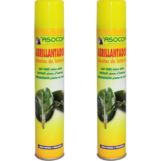 SET DE 2 ABRILLANTADORES SPRAY 1000 CC image 0