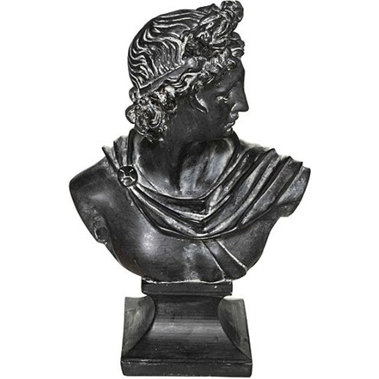 APOLO BUSTO H30 image 0