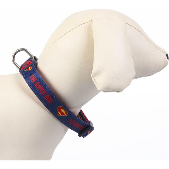 COLLAR PREMIUM PARA PERROS XXS/XS DC PETS BLUE image 2