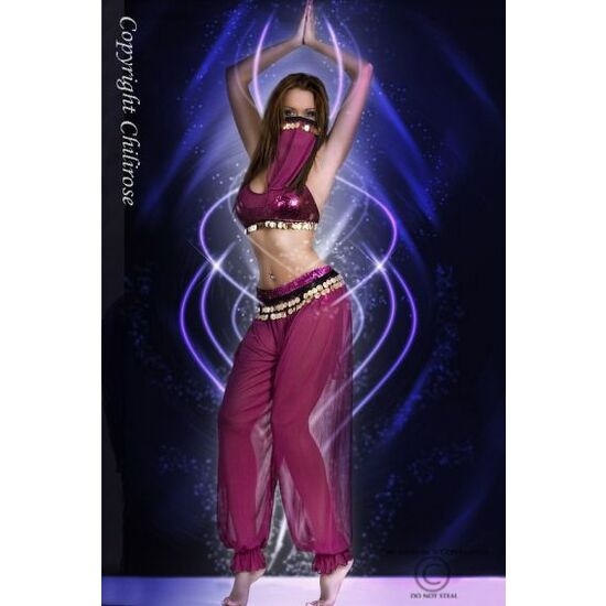 DISFRAZ SEXY DE BAILARINA DE DANZA DEL VIENTRE CON MONEDAS DORADAS MORADO image 1
