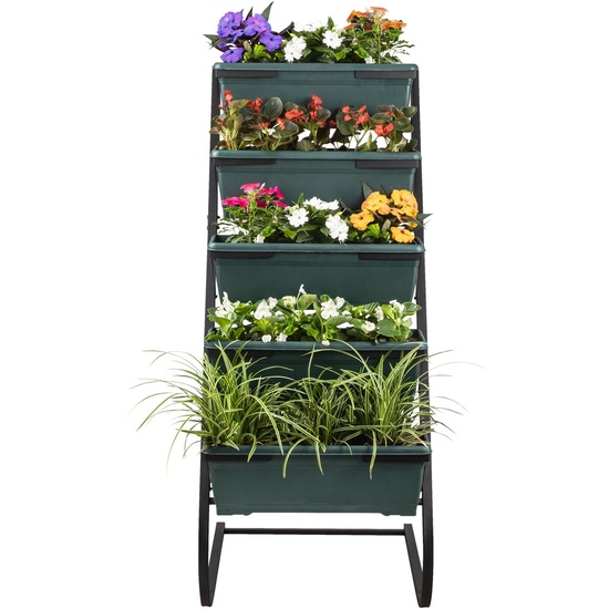 DISPLAY PARA PLANTAS image 5