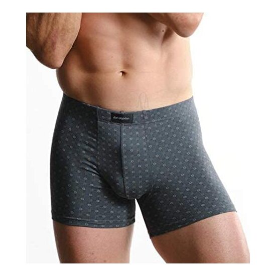 BOXER GRIS CABALLERO GRIS image 0