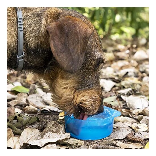 BOTELLA CON DEPÓSITO DE AGUA Y COMIDA PARA MASCOTAS 2 EN 1 PETTAP INNOVAGOODS image 4