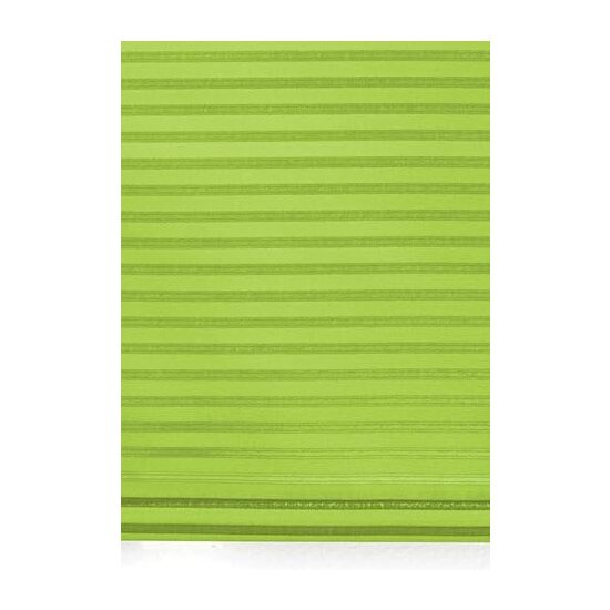 ESTOR ENROLLABLE IRIS 110-PISTACHO 100X180 image 2