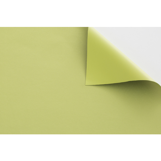 ESTOR ENROLLABLE ZEUS 210-PISTACHO 37X180 image 3