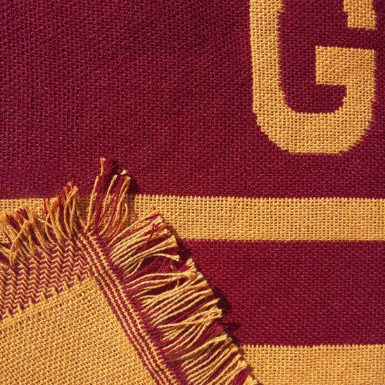 MANTA JAQUARD 130X170 GRYFFINDOR VALUES image 3