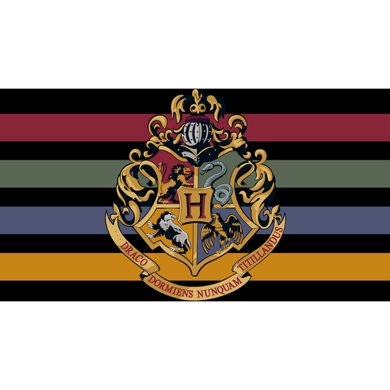 FUNDA NÓRDICA CON BOTONES 100% ALGODÓN MODELO HOGWARTS BLACK PARA CAMA DE 180 (260X240 CM) image 3