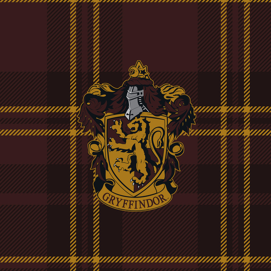 FUNDA NÓRDICA CON BOTONES 100% ALGODÓN MODELO CLASSIC GRYFFINDOR PARA CAMA DE 120 (200X200 CM.) image 5