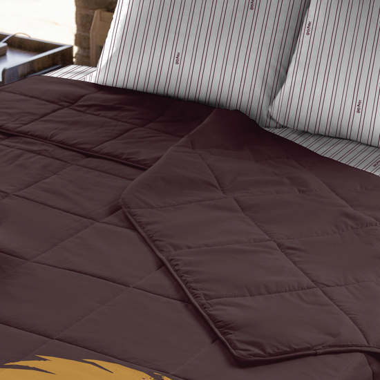 EDREDÓN 250 GR MODELO GRYFFINDOR VALUES PARA CAMA DE 180 (280X270CM.) image 2