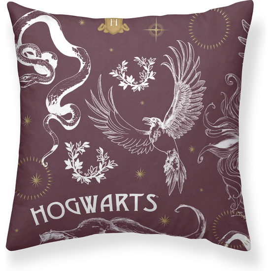 FUNDA DE ALMOHADA 100% ALGODÓN MODELO HPOTTER CREATURES DE 65X65 CM. image 0