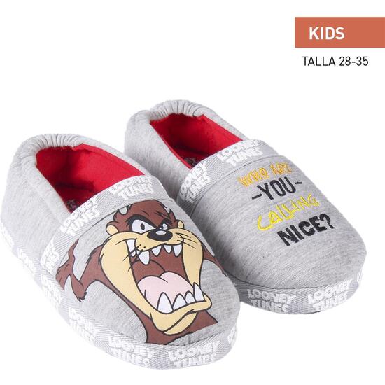 ZAPATILLAS DE CASA FRANCESITA LOONEY TUNES image 0