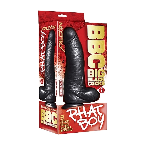 PHAT BOY - 10 INCH image 1