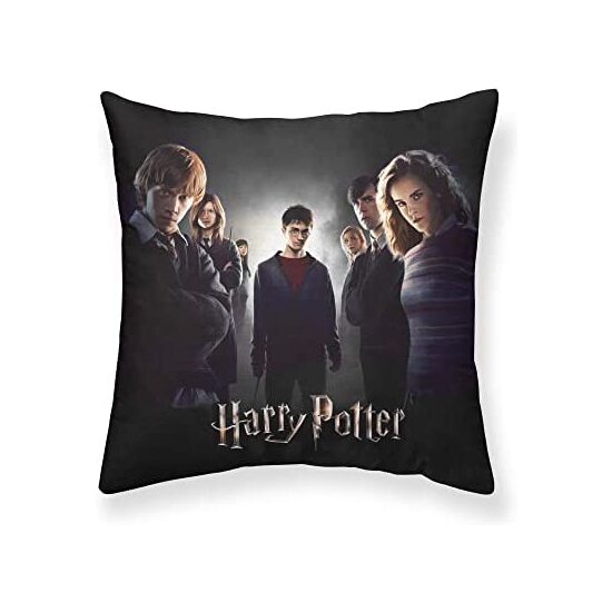 FUNDA DE COJÍN DUMBLEDORES ARMY A 50X50 HARRY POTTER image 0