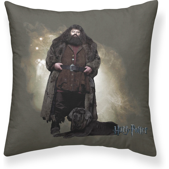 FUNDA DE COJÍN HAGRID A 50X50 HARRY POTTER image 0