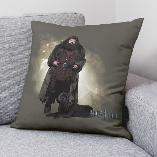 FUNDA DE COJÍN HAGRID A 50X50 HARRY POTTER image 1