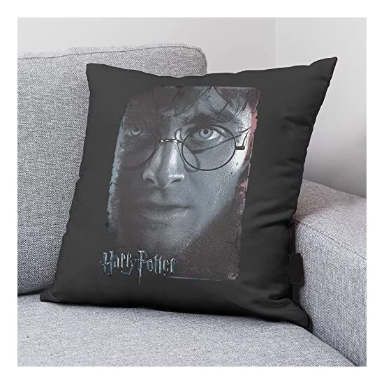 FUNDA DE COJÍN HARRY POTTER GREY A 50X50 HARRY POTTER image 1