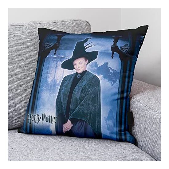 FUNDA DE COJÍN MCGONAGALL A 50X50 HARRY POTTER image 1