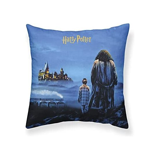 FUNDA DE COJÍN PHILOSOPHERS STONE A 50X50 HARRY POTTER image 0