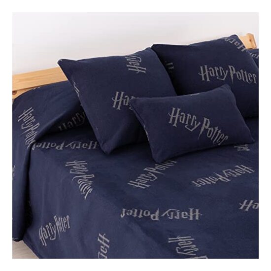 MANTA PLAID EXTRASUAVE 180X270 RAVENCLAW HARRY POTTER image 3