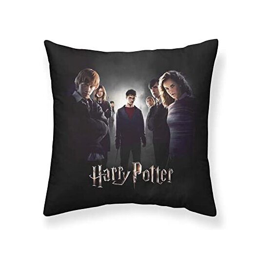 FUNDA ALMOHADA MICROSATÉN DUMBLEDORES ARMY A 65X65 HARRY POTTER image 0