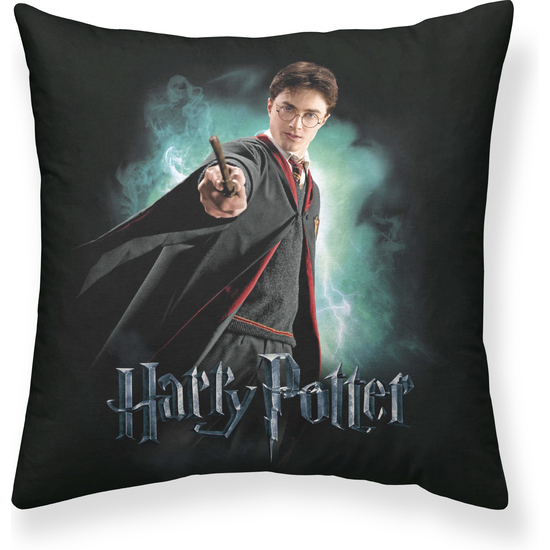 FUNDA ALMOHADA MICROSATÉN GRYFFINDOR WIZARD A 65X65 HARRY POTTER image 0