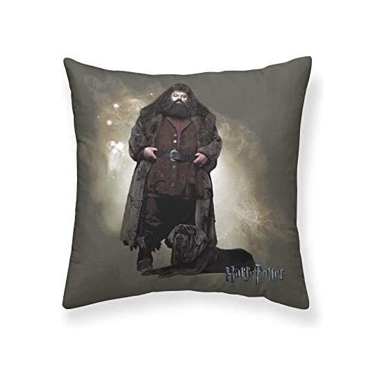 FUNDA ALMOHADA MICROSATÉN HAGRID A 65X65 HARRY POTTER image 0