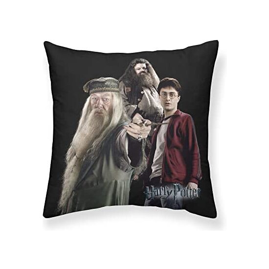 FUNDA ALMOHADA MICROSATÉN HARRY TEAM A 65X65 HARRY POTTER image 0