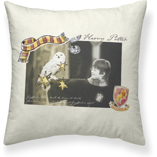 FUNDA ALMOHADA MICROSATÉN LITTLE MEMORIES A 65X65 HARRY POTTER image 0