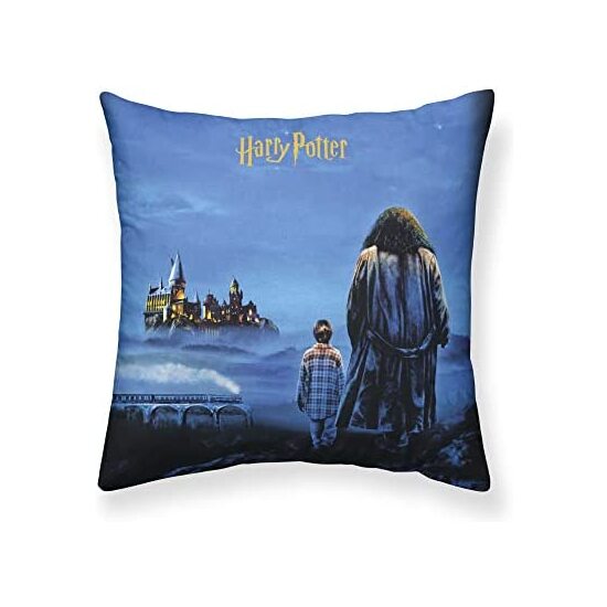 FUNDA ALMOHADA MICROSATÉN PHILOSOPHERS STONE A 65X65 HARRY POTTER image 0