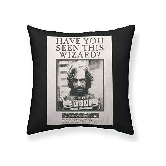 FUNDA ALMOHADA MICROSATÉN SIRIUS BLACK A 65X65 HARRY POTTER image 0