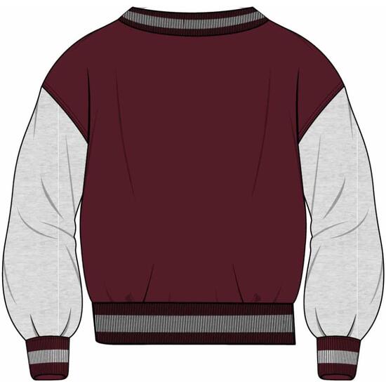 SUDADERA CON CREMALLERA COTTON BRUSHED HARRY POTTER GRYFFINDOR image 1