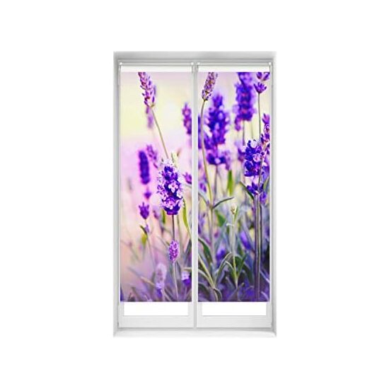 ESTOR ENROLLABLE DUO_TRLAVANDA image 0