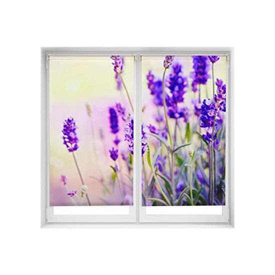 ESTOR ENROLLABLE DUO_TRLAVANDA image 0