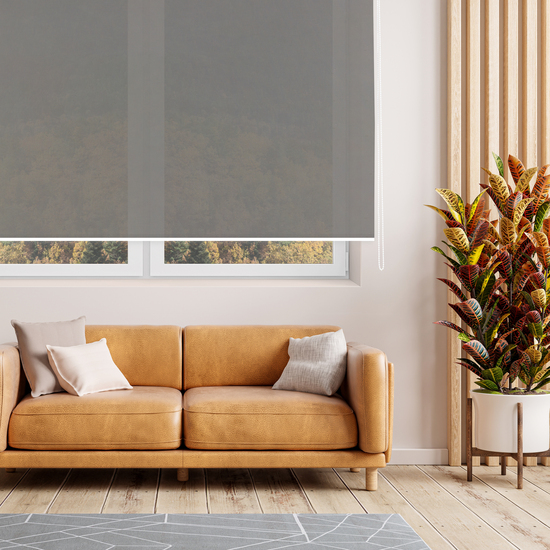 ESTOR ENROLLABLE SCREEN AD +5 38MM 240CM image 1