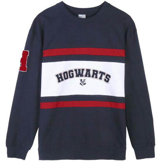 SUDADERA COTTON BRUSHED HARRY POTTER DARK BLUE image 0