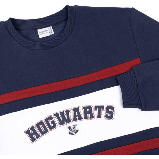 SUDADERA COTTON BRUSHED HARRY POTTER DARK BLUE image 2