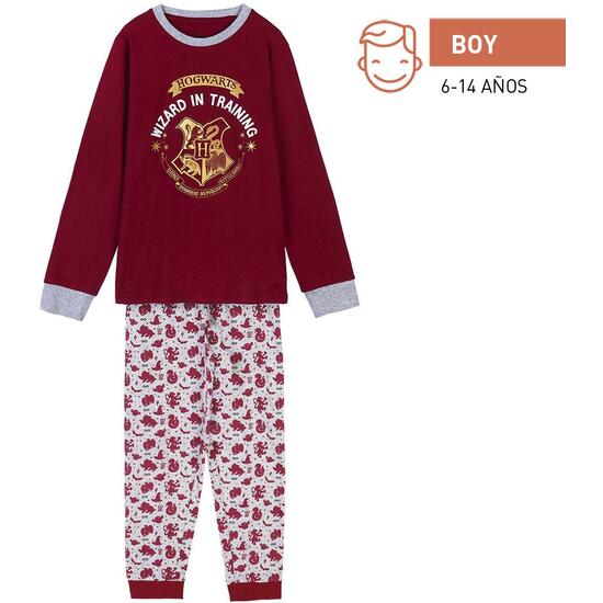 PIJAMA LARGO SINGLE JERSEY HARRY POTTER DARK RED image 0