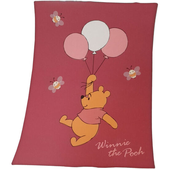 MANTA WINNIE THE POOH DISNEY image 0