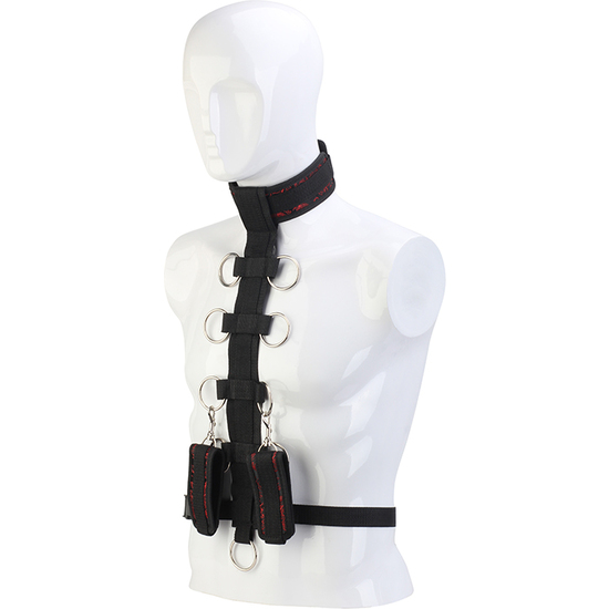 BLAZE DELUXE COLLAR BODY RESTRAINT image 1