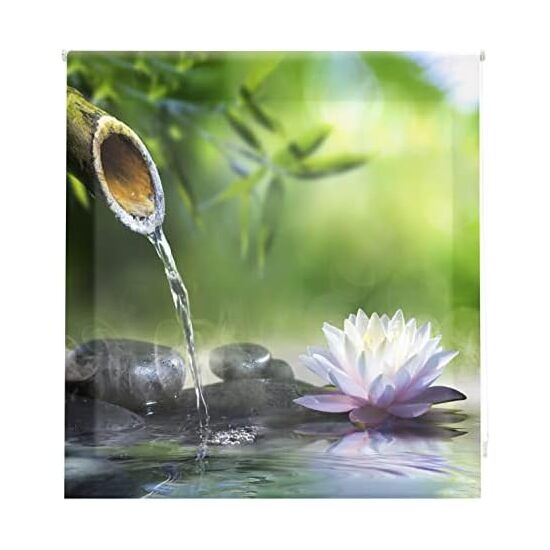 ESTOR ENROLLABLE DIGITAL WEB TRASLUCIDO W-Z-04625 image 1