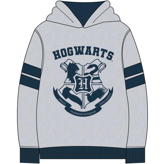 SUDADERA CON CAPUCHA COTTON BRUSHED HARRY POTTER GRAY image 0
