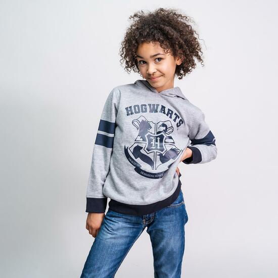 SUDADERA CON CAPUCHA COTTON BRUSHED HARRY POTTER GRAY image 3