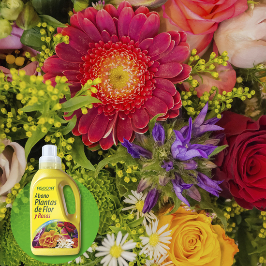 3X ABONO LIQUIDO PARA ROSAS Y PLANTAS CON FLOR 1 LITRO image 3
