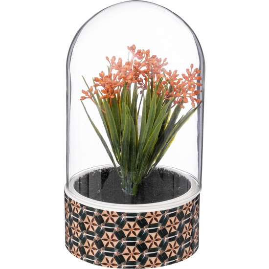 PLANTA "ALI" CLOCHE H21CM image 0