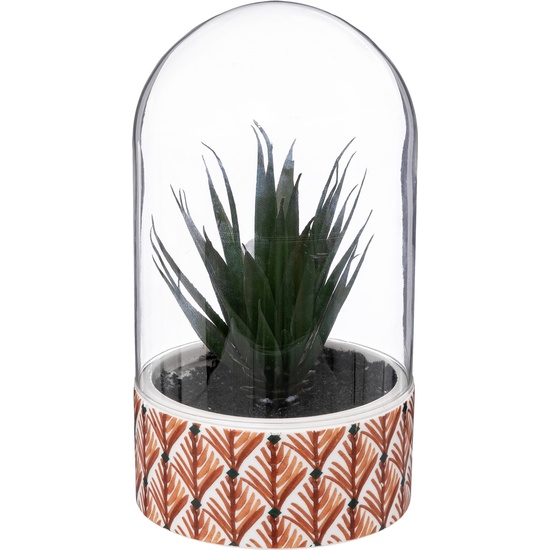 PLANTA "ALI" CLOCHE H21CM image 1